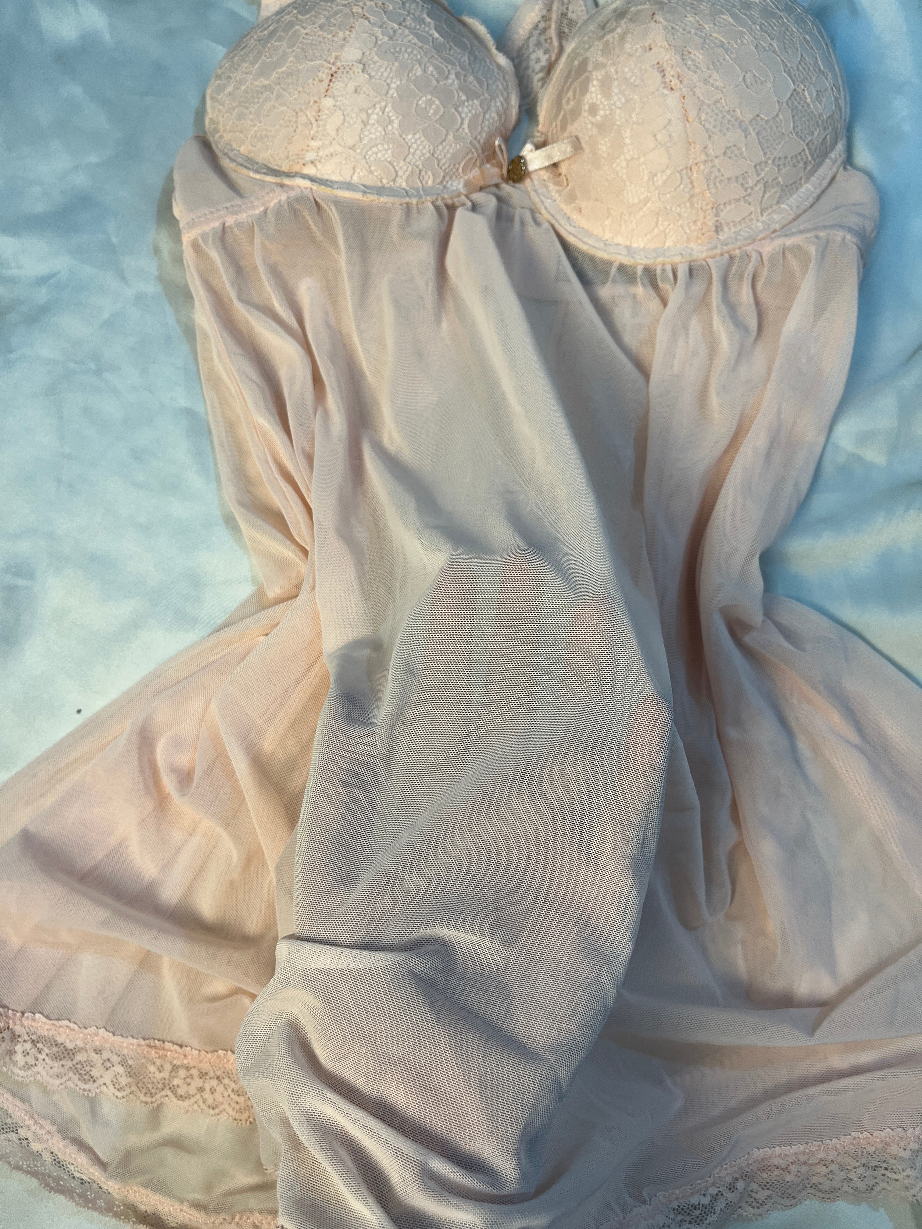 Daisy Fuentes Padded back butterfly see through medium lingerie
