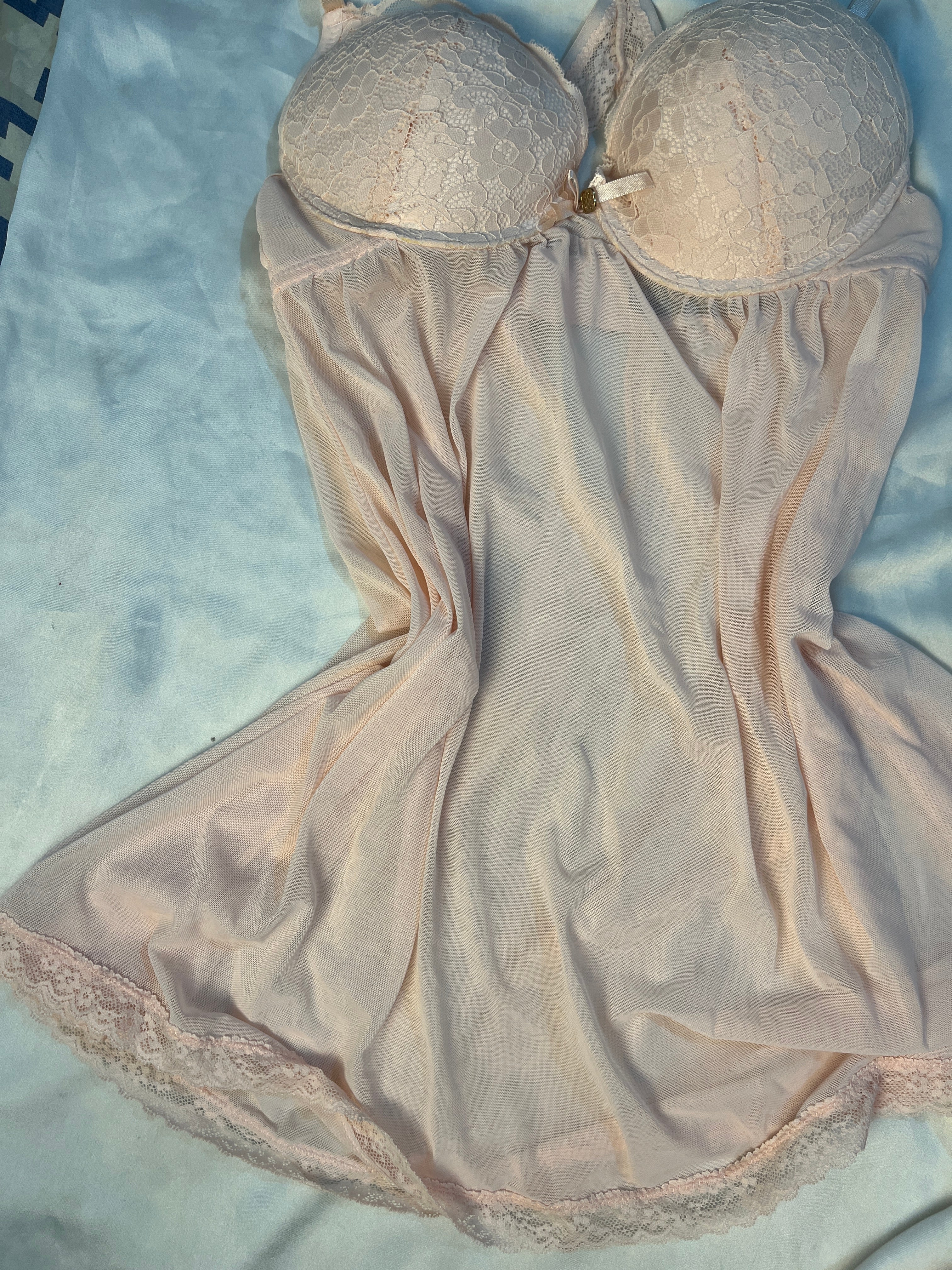 Daisy Fuentes Padded back butterfly see through medium lingerie